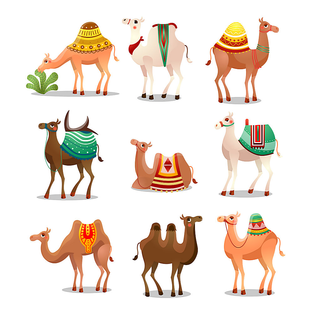 骆驼形象动物插画设计 第1页